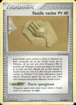 Fossile racine