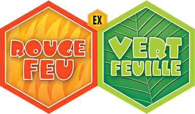 EX Rouge Feu & Vert Feuille