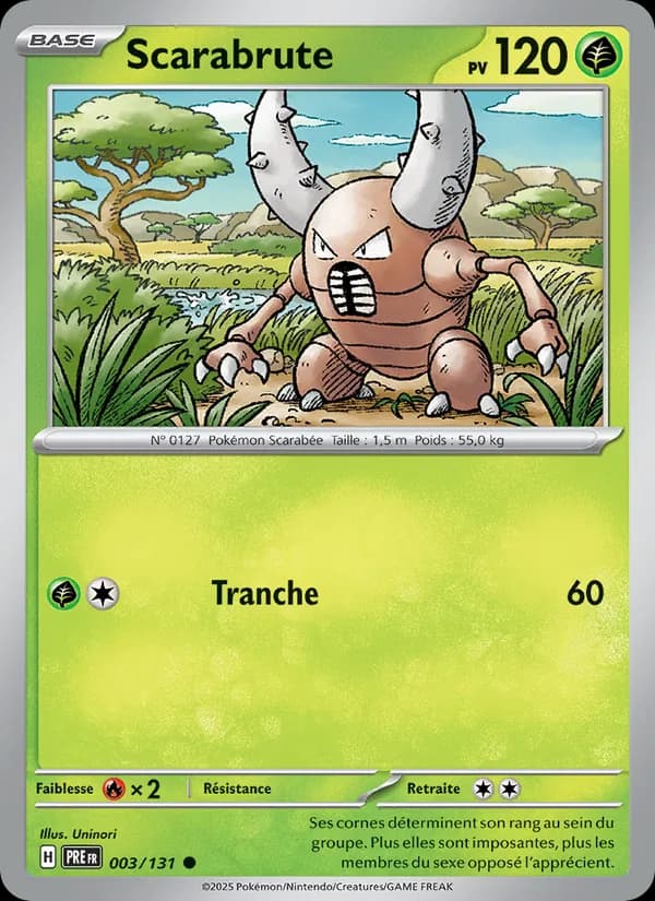 Scarabrute