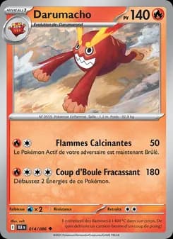 Darumacho