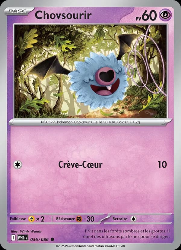 Chovsourir