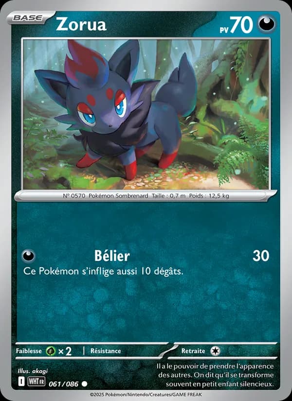 Zorua